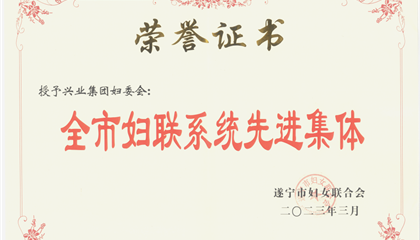喜報(bào)！興業(yè)集團(tuán)婦委會(huì)榮獲“全市婦聯(lián)系統(tǒng)先進(jìn)集體”榮譽(yù)稱號(hào)