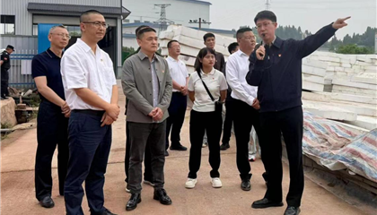 興業(yè)集團黨委開展“黨建引領(lǐng)聚合力 攻堅克難顯擔(dān)當(dāng)”主題黨日暨現(xiàn)場教學(xué)活動